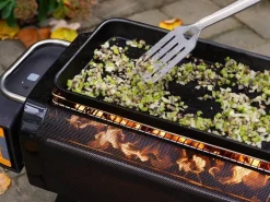 Biolite Firepit Griddle