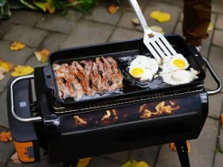 Biolite Firepit Griddle