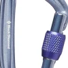 Black Diamond Liteforge Screwgate Karabiinihaka, Harmaa