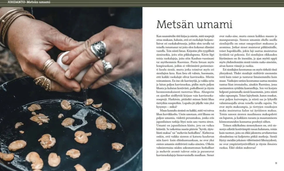 Calazo Herkuttelijan Sienikirja