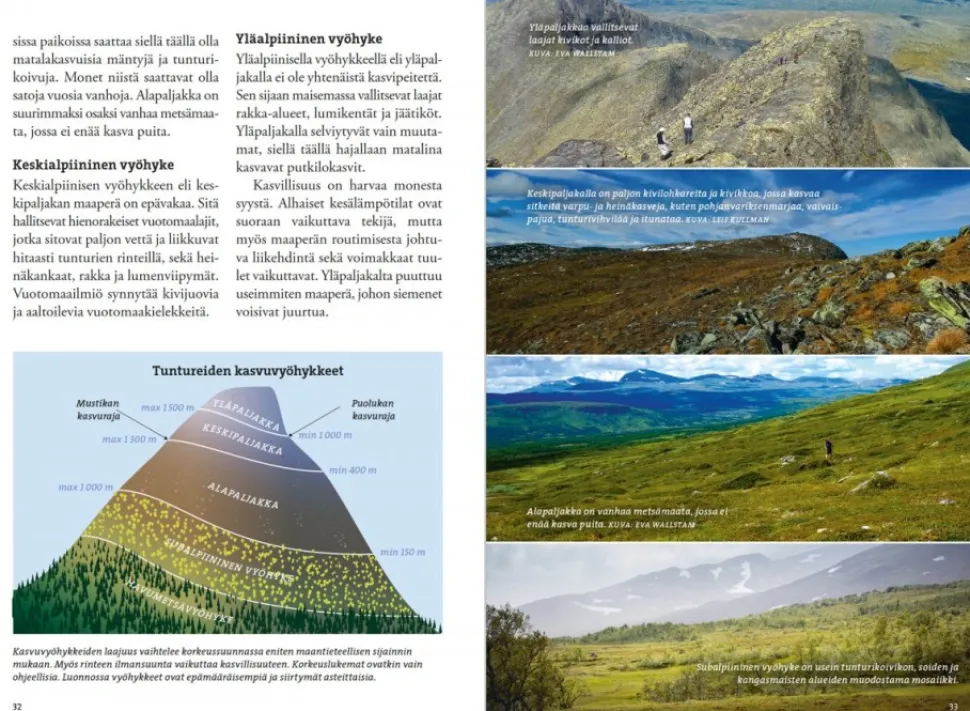 Calazo Vaeltajan Tunturikasvio