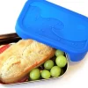 Ecolunchbox Splash Box 700 Ml Nestetiivis Evasrasia