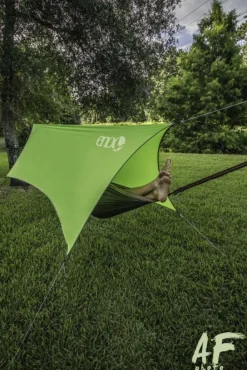 Eno Profly Olive