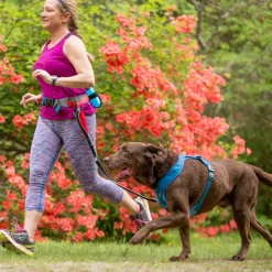 Kurgo K9 Excursion Running Belt Juoksuvyo