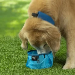 Nite Ize Raddog Collapsible Bowl Sininen