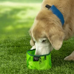 Nite Ize Raddog Collapsible Bowl Lime