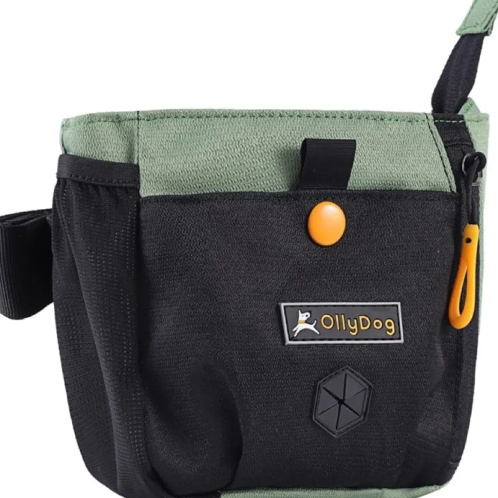 Ollydog Backcountry Day Bag Vyolaukku, Vihrea
