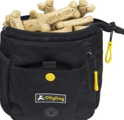 Ollydog Backcountry Day Bag Vyolaukku Raven
