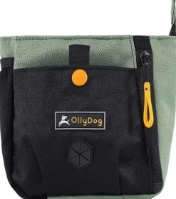 Ollydog Backcountry Day Bag Vyolaukku, Vihrea