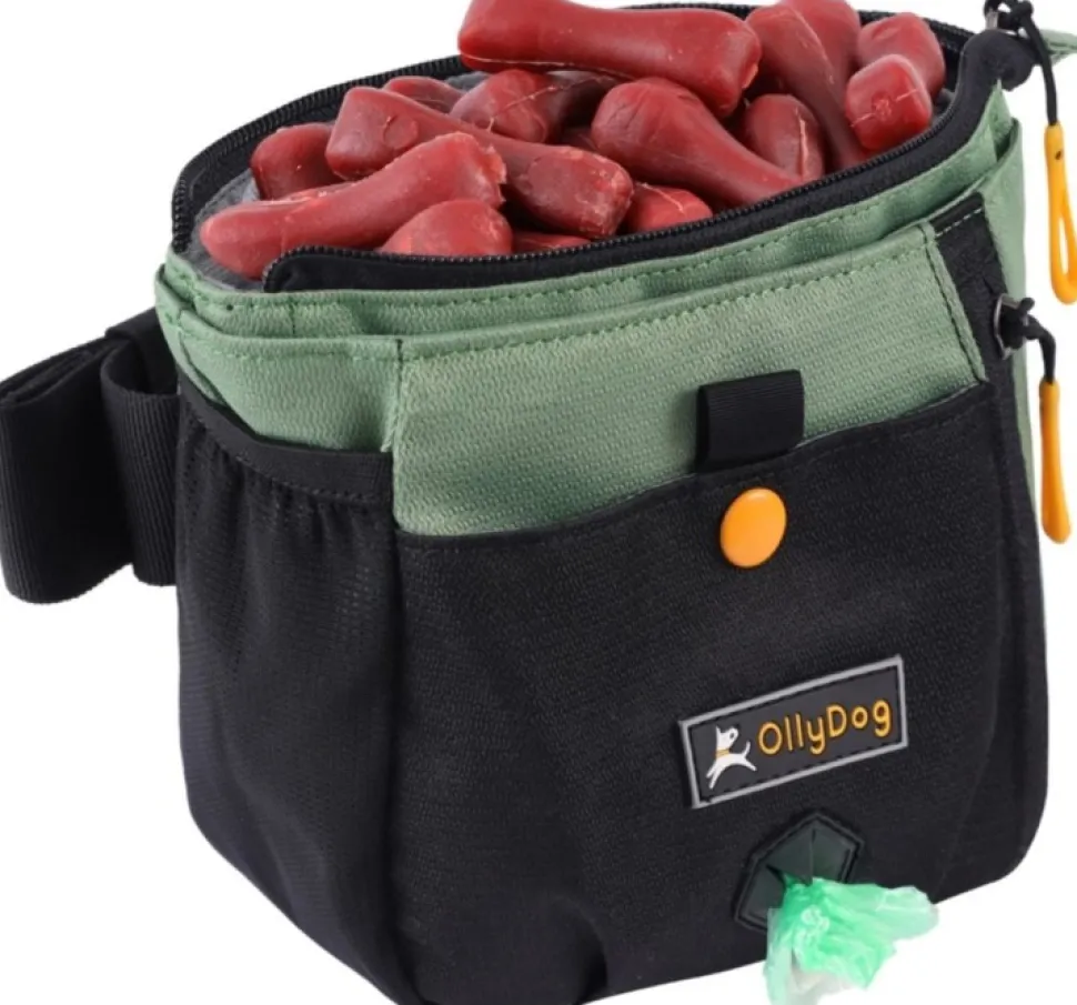Ollydog Backcountry Day Bag Vyolaukku, Vihrea