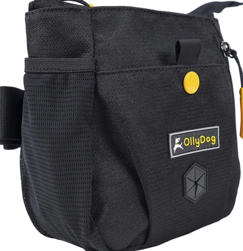 Ollydog Backcountry Day Bag Vyolaukku Raven