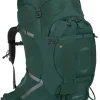 Osprey Aether Plus 100 Axo Green