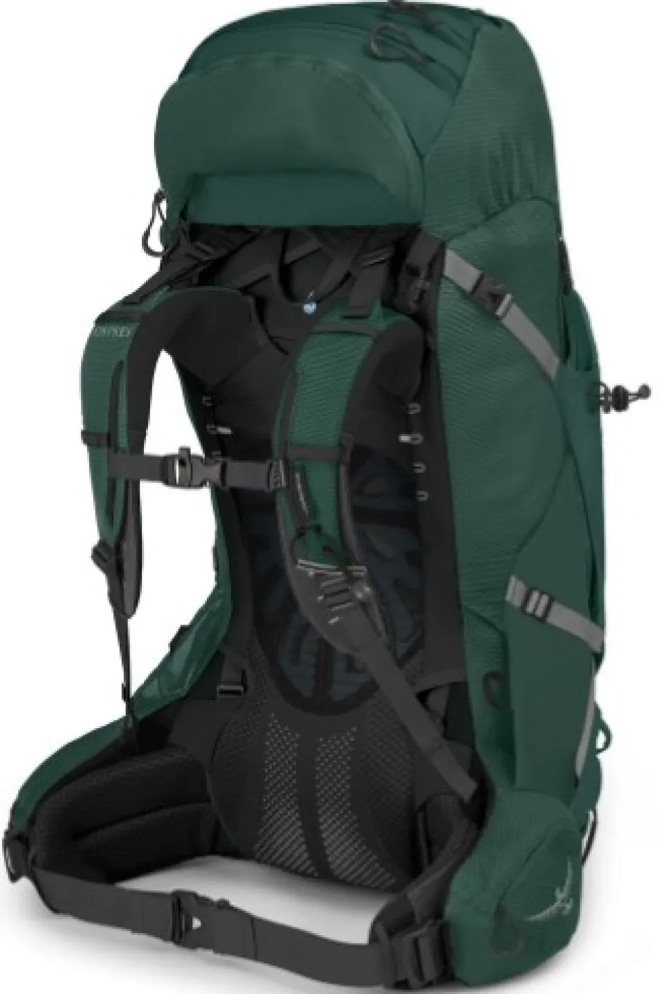 Osprey Aether Plus 60 Axo Green