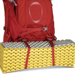 Osprey Ariel Plus 70 Naisten Rinkka, Punainen