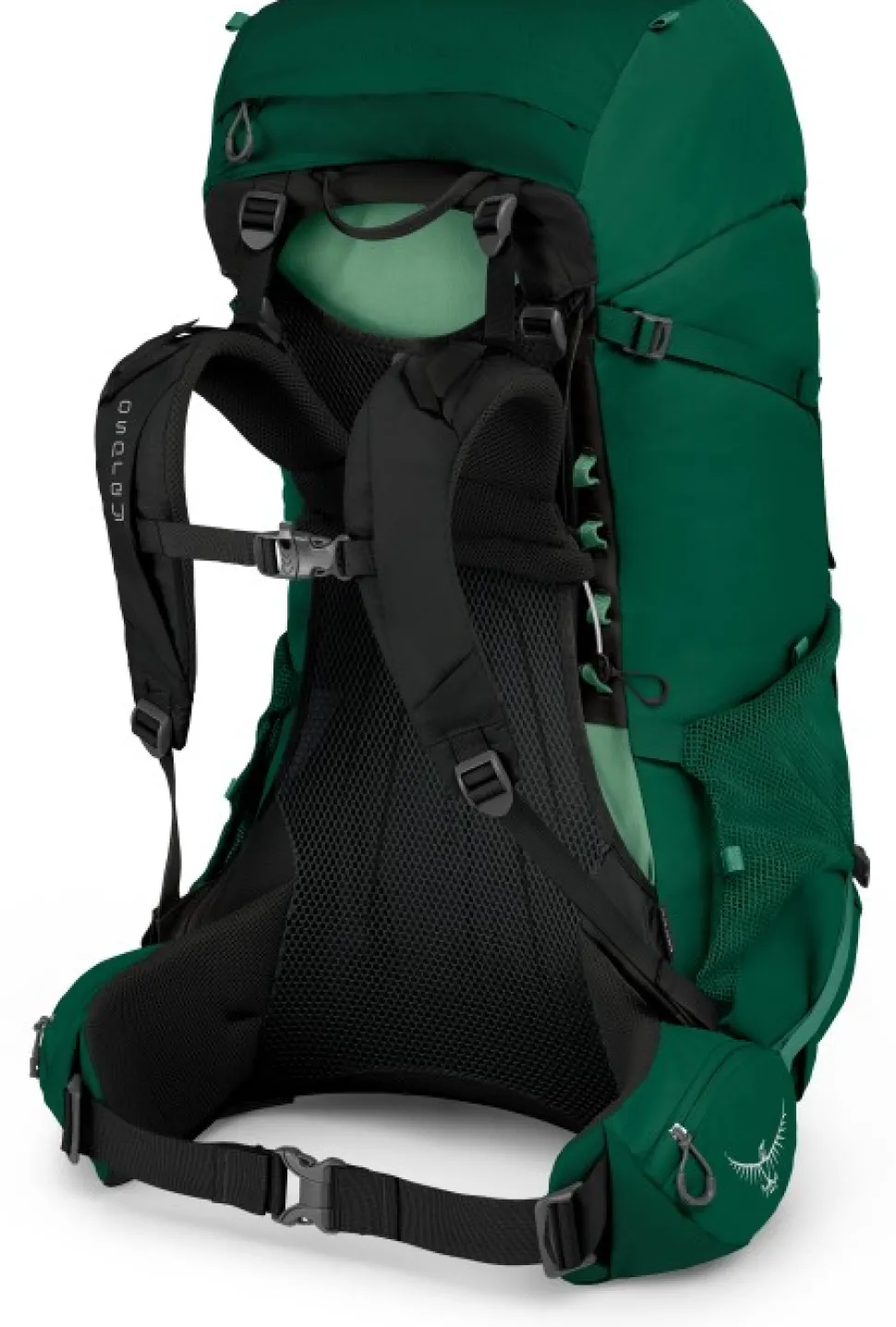Osprey Rook 65, Vihrea