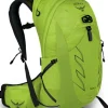 Osprey Talon 22 Limon Green