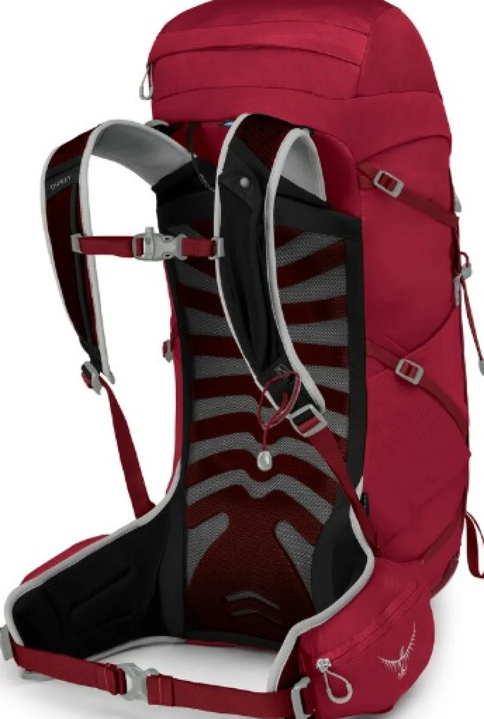 Osprey Talon 33 -Paivareppu, Punainen