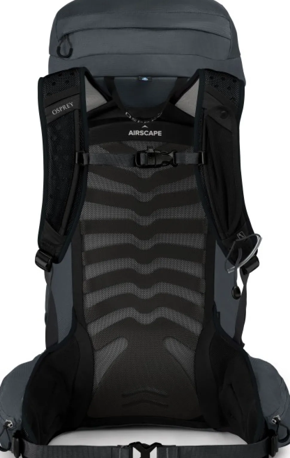 Osprey Talon 33 Reppu, Harmaa
