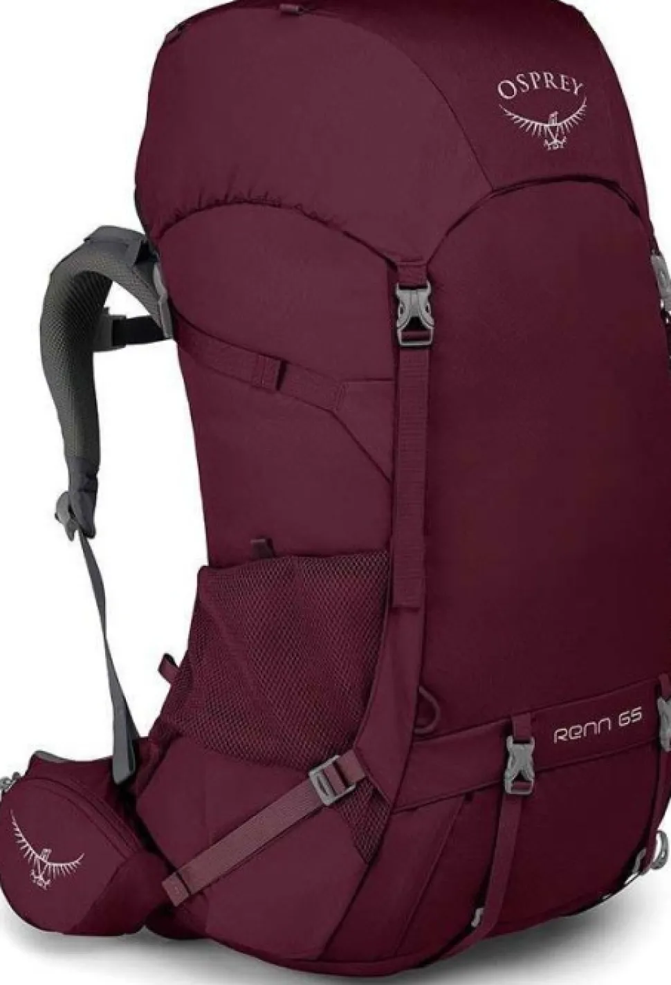 Osprey W'S Renn 65 Aurora Purple