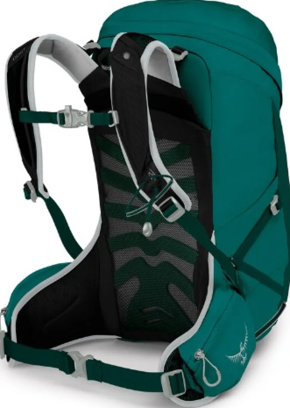 Osprey W'S Tempest 24 Jasper Green