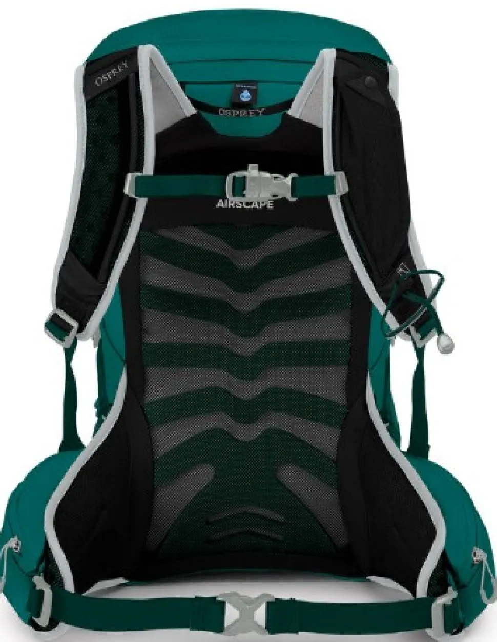 Osprey W'S Tempest 24 Jasper Green