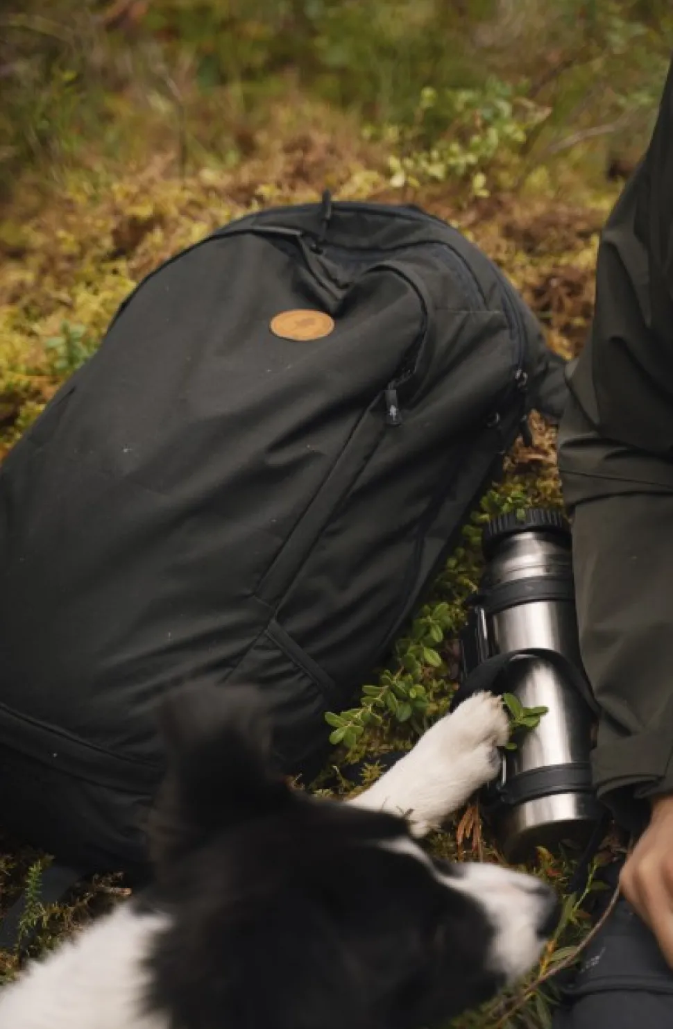 Pinewood Day Pack Reppu, 22 L, Black