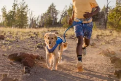 Ruffwear Trail Runner Belt Juoksuvyo, Sininen