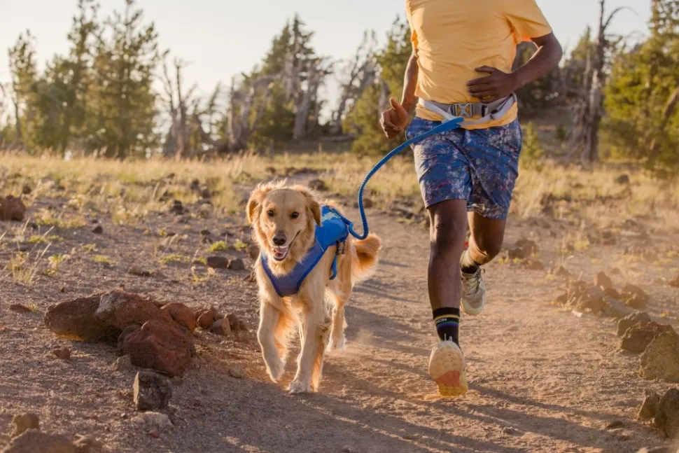 Ruffwear Trail Runner Belt Juoksuvyo, Keltainen